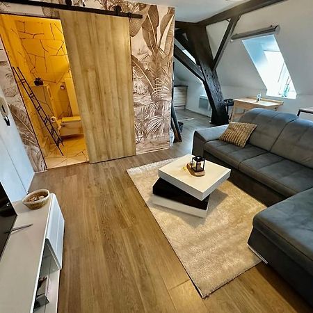 Logement Entier Au Coeur De Straßburg Exterior foto